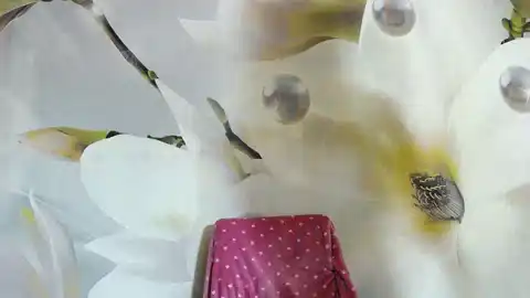 Andrad – Xlovecam Live Video – 2025-06-02 10:07:57