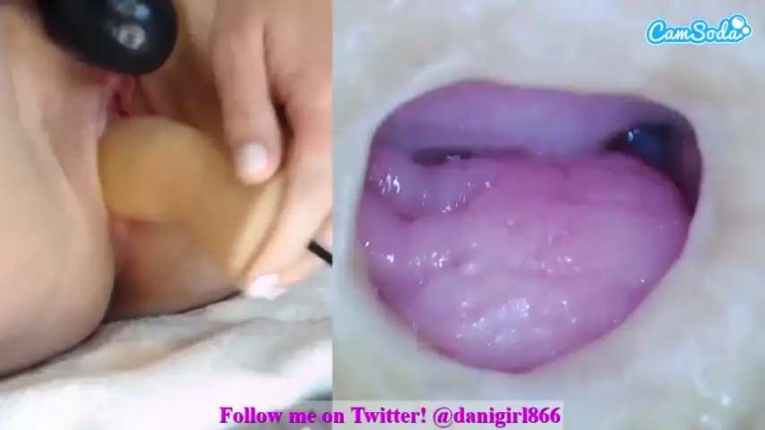 Danigirl866 – Camsoda Live Video – 2025-05-31 16:51:44