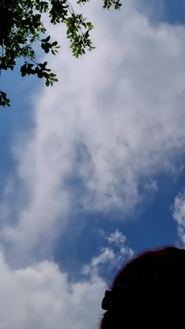 Squirtle04_sexy – Cam4 Live Video – 2025-03-21 17:10:48