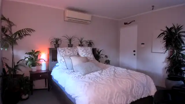 Alice_nz – Myfreecams Live Video – 2025-03-25 08:06:43