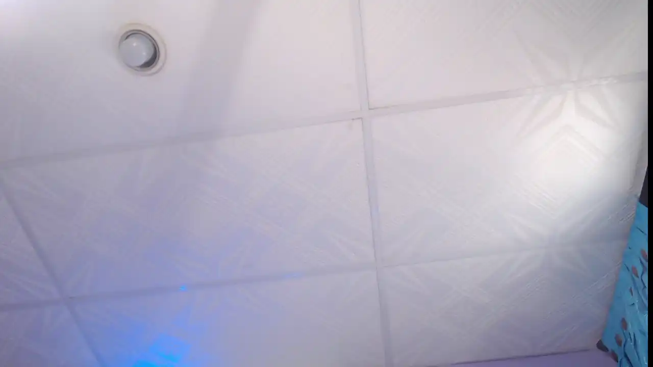 Stephanieowens – Xlovecam Live Video – 2026-02-12 04:56:30