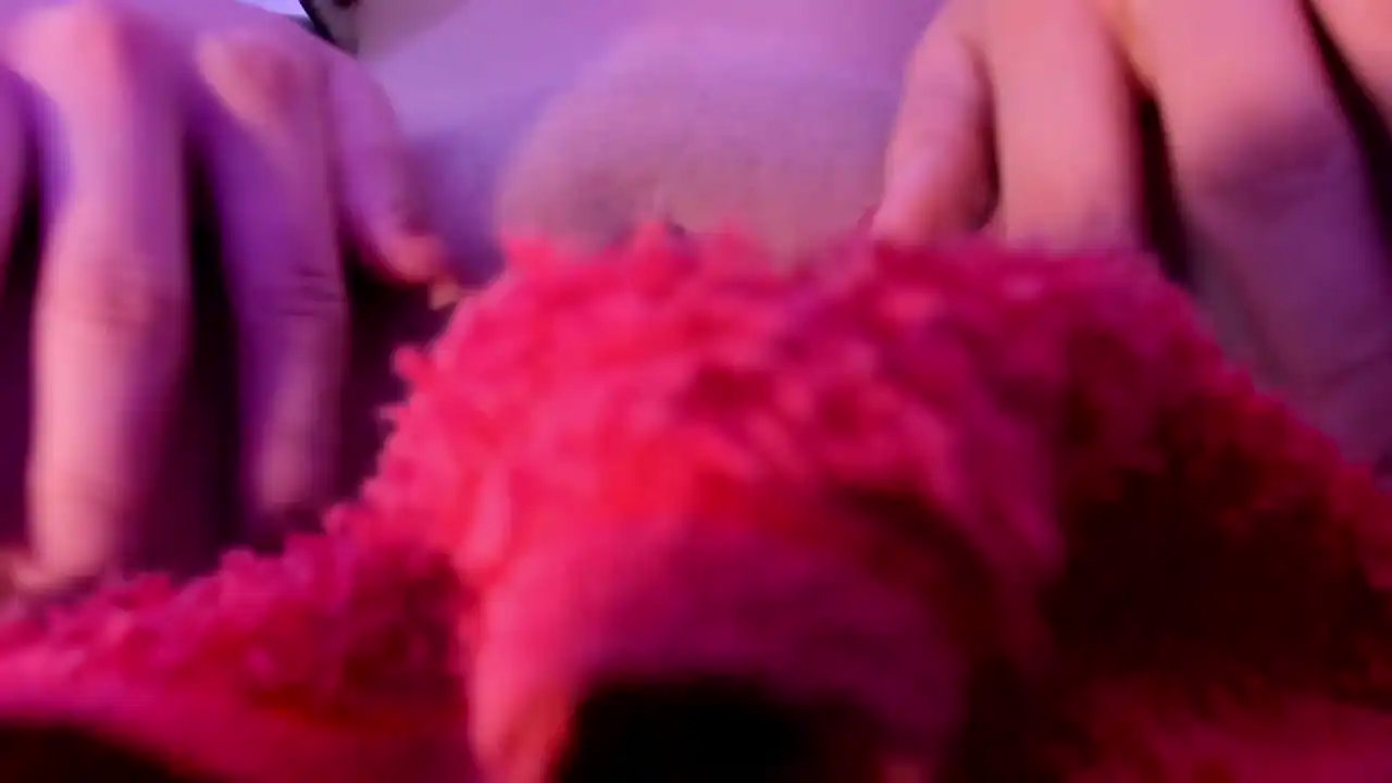 Alicejohnson – Manyvids Live Video – 2026-05-24 06:16:25