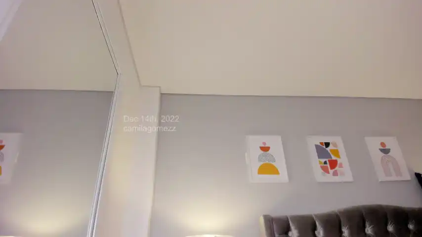 Camilagomezz – Chaturbate Live Video – 2025-07-01 12:53:36