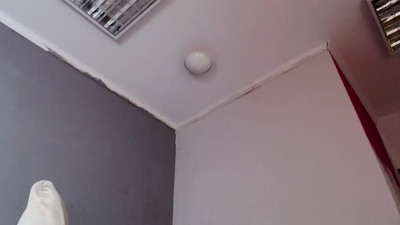 Prysuaa_ – Showup Live Video – 2025-07-01 06:24:45