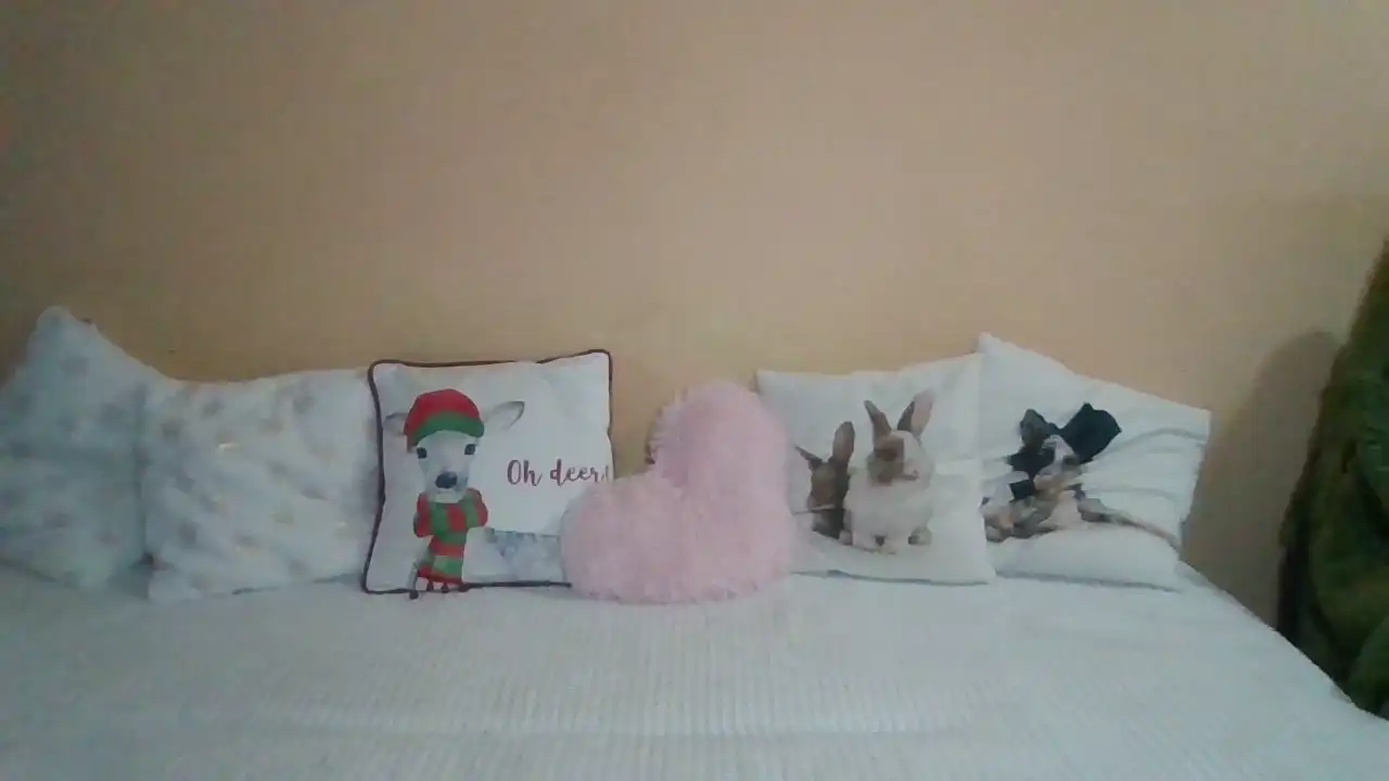 Sweetwiki23_ – Showup Live Video – 2025-02-01 07:51:40