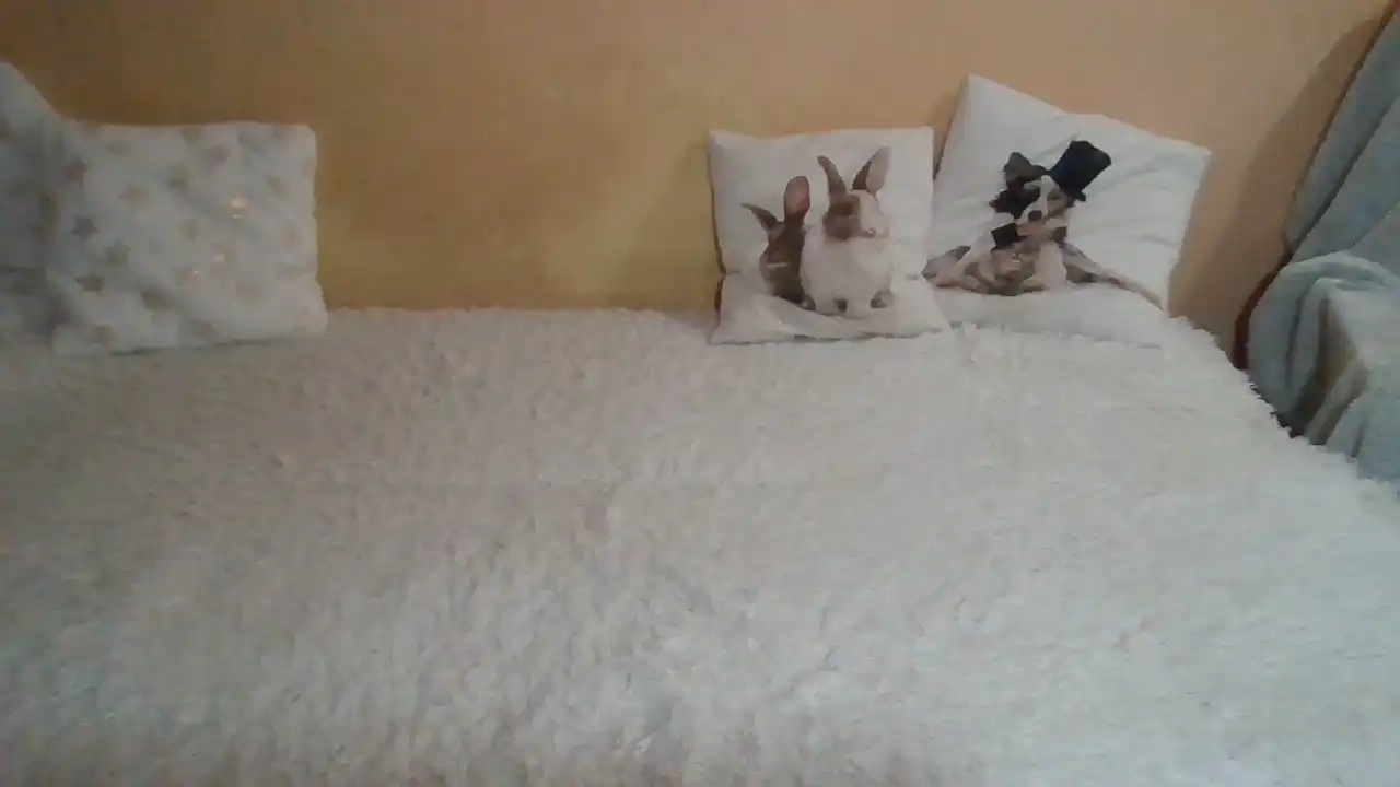 Sweetwiki23_ – Showup Live Video – 2025-04-29 22:35:27