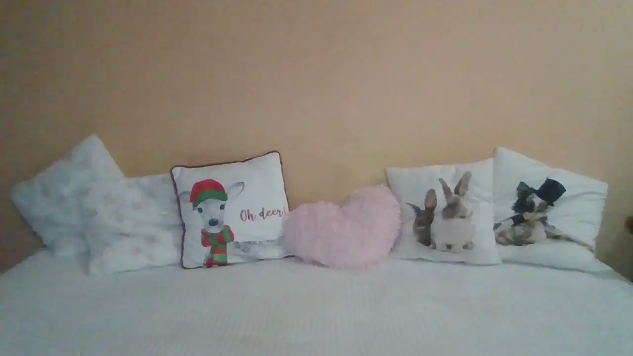Sweetwiki23_ – Showup Live Video – 2026-06-24 08:02:04