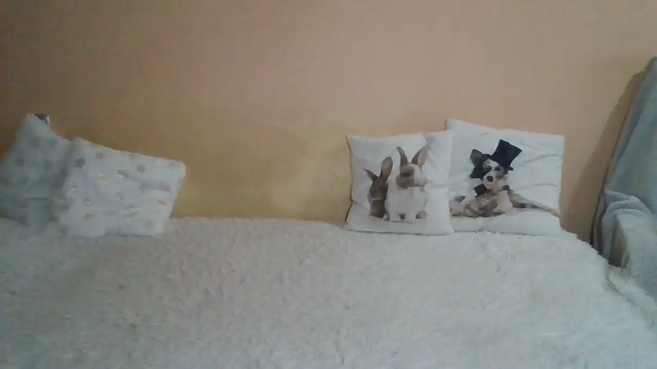 Sweetwiki23_ – Showup Live Video – 2025-08-19 19:12:13