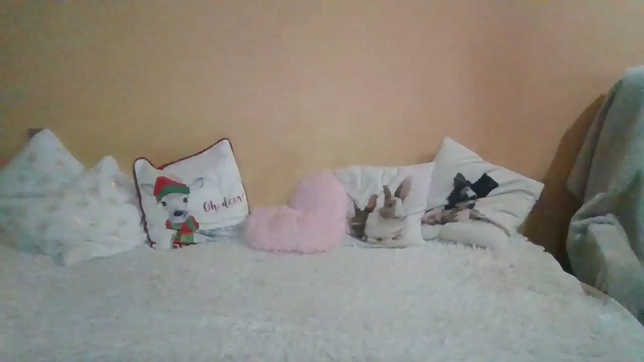 Sweetwiki23_ – Showup Live Video – 2025-05-28 17:54:17