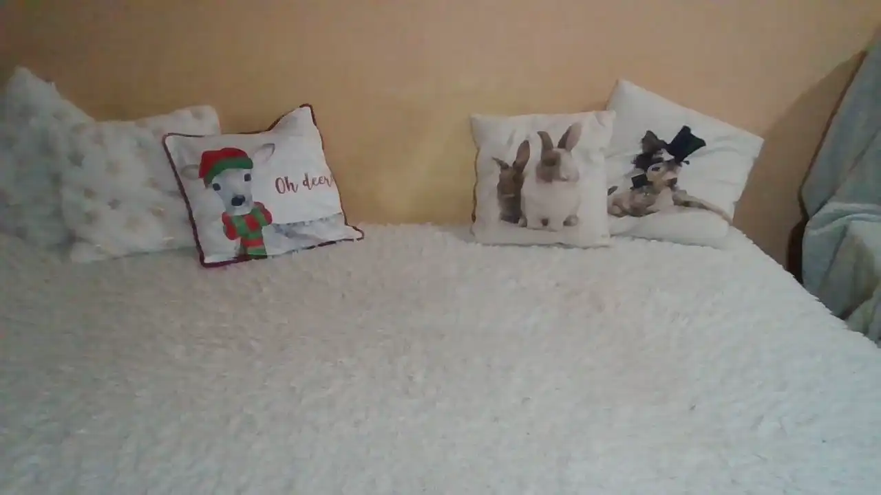 Sweetwiki23_ – Showup Live Video – 2025-08-04 04:16:59