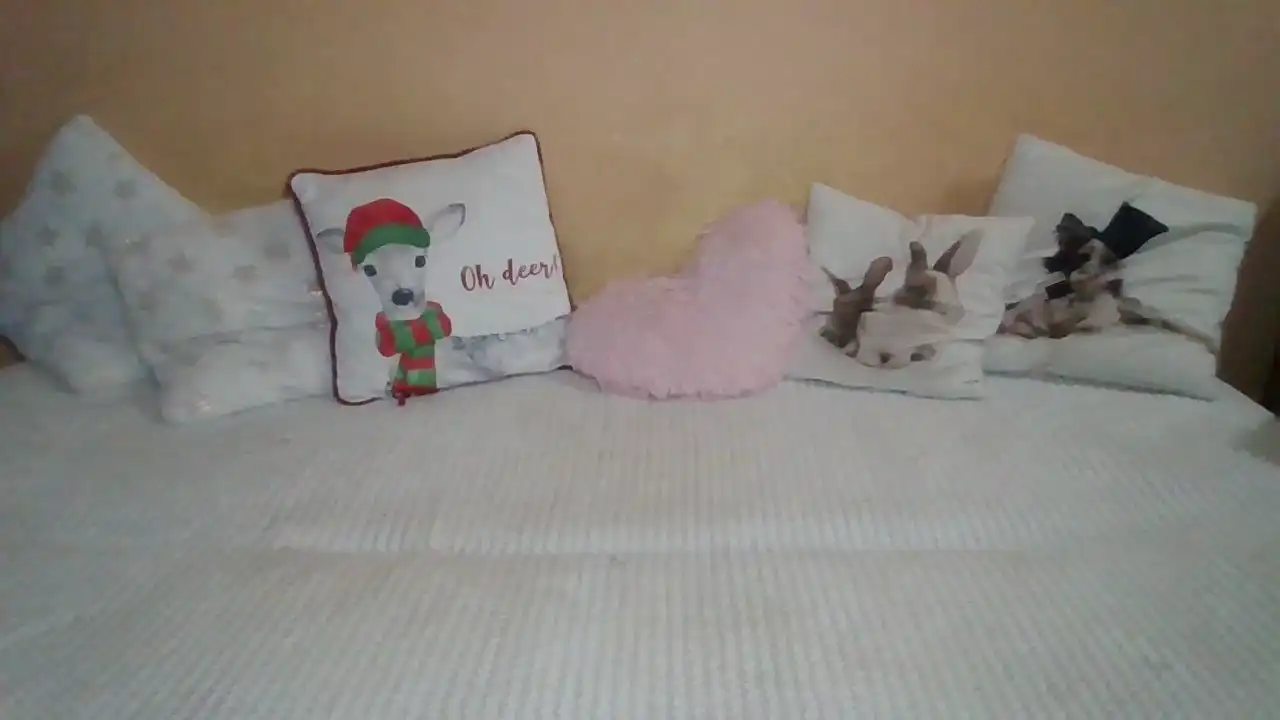 Sweetwiki23_ – Showup Live Video – 2025-01-12 07:38:54