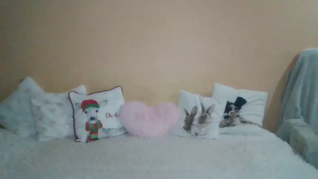 Sweetwiki23_ – Showup Live Video – 2025-02-14 04:01:06