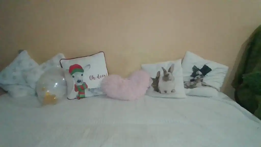 Sweetwiki23_ – Showup Live Video – 2025-08-02 02:50:19
