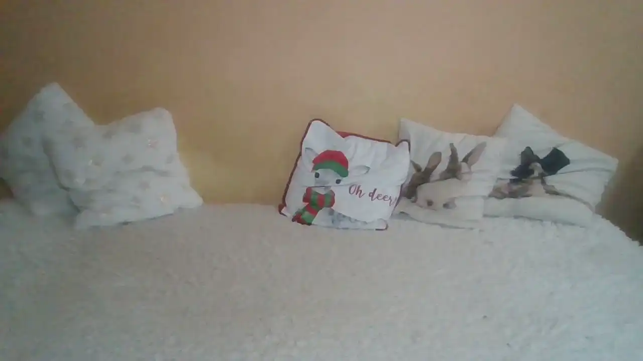 Sweetwiki23_ – Showup Live Video – 2025-07-27 07:06:24