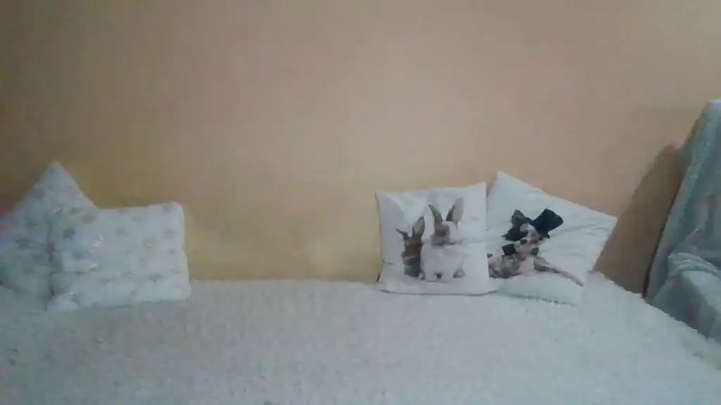 Sweetwiki23_ – Showup Live Video – 2025-05-07 14:30:17