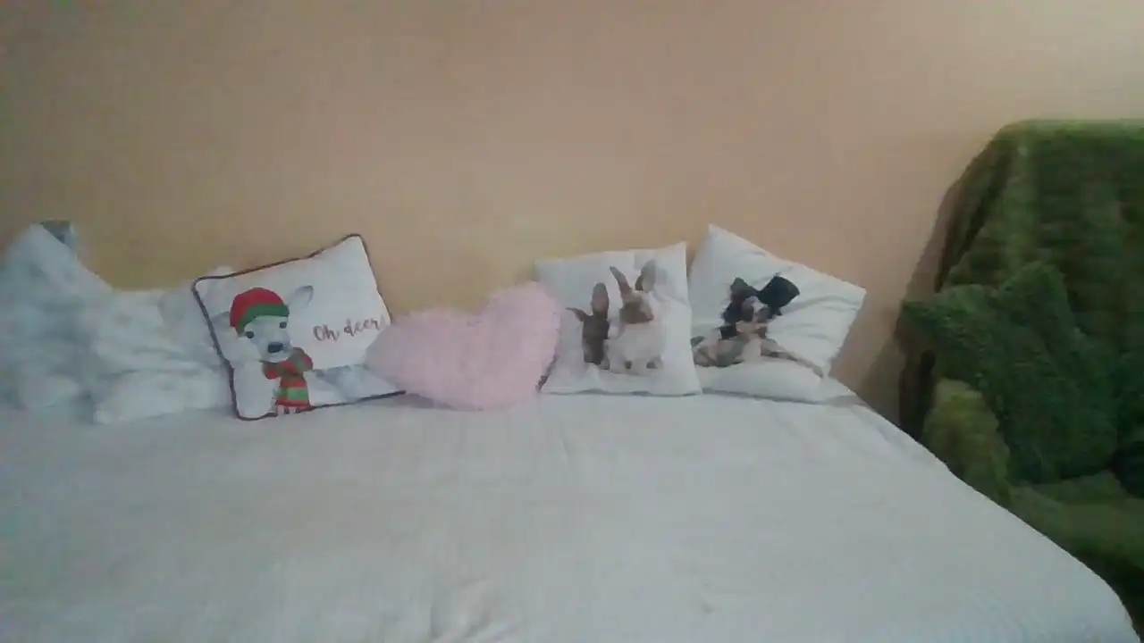 Sweetwiki23_ – Showup Live Video – 2025-10-02 03:29:11